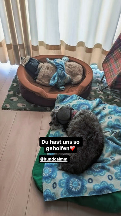 @lena.meyer