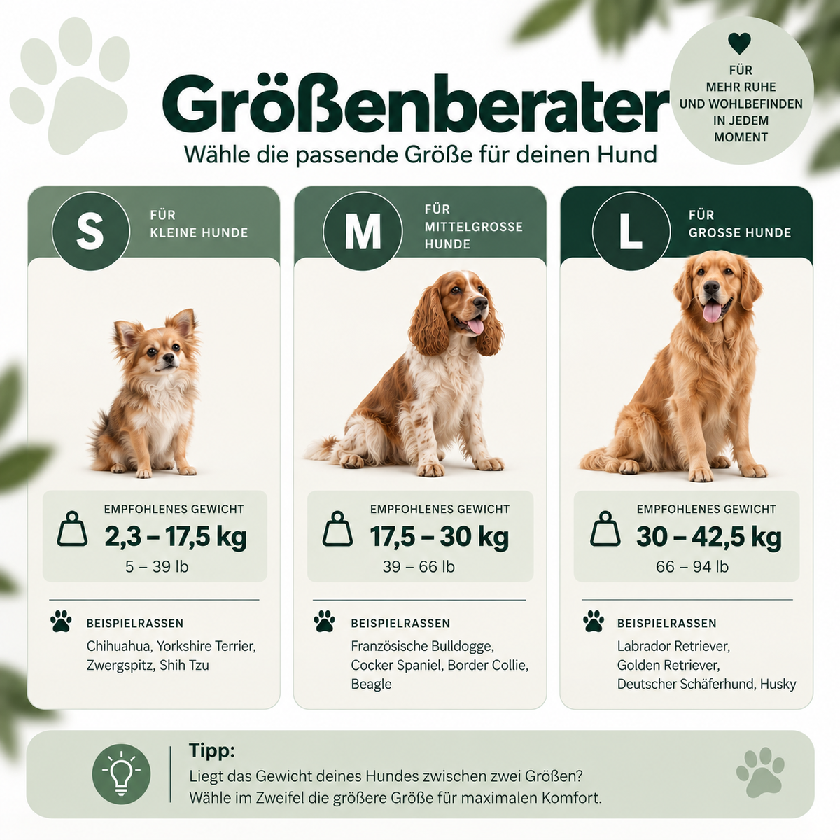 Beruhigende Ohrenschützer für Hunde